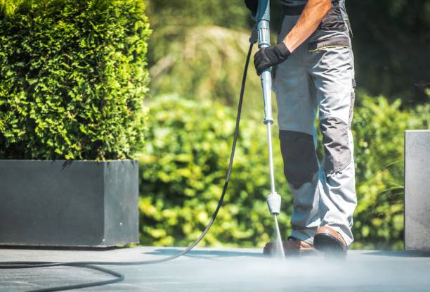 Best Building Exterior Washing  in Swoyersville, PA
